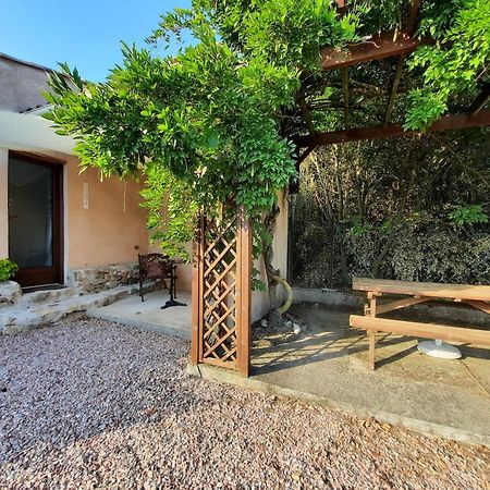 Le Lodge Des Chenes Brousses-et-Villaret المظهر الخارجي الصورة