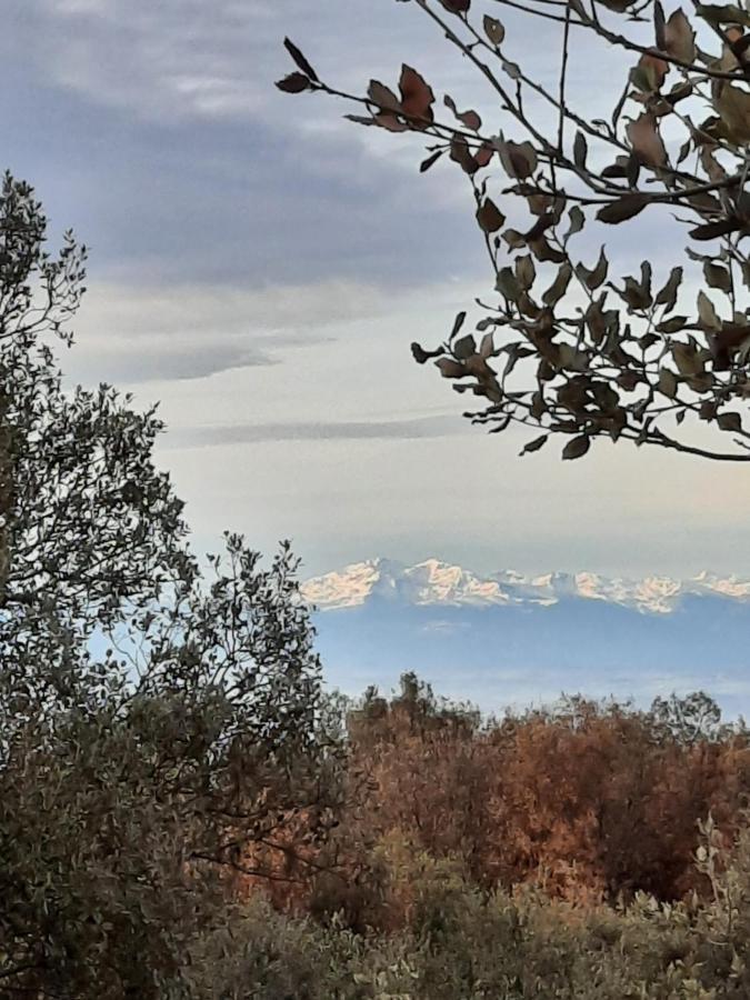 Le Lodge Des Chenes Brousses-et-Villaret المظهر الخارجي الصورة